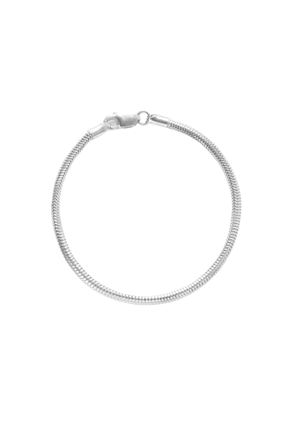 Snake Chain Bracelet (Silver)
